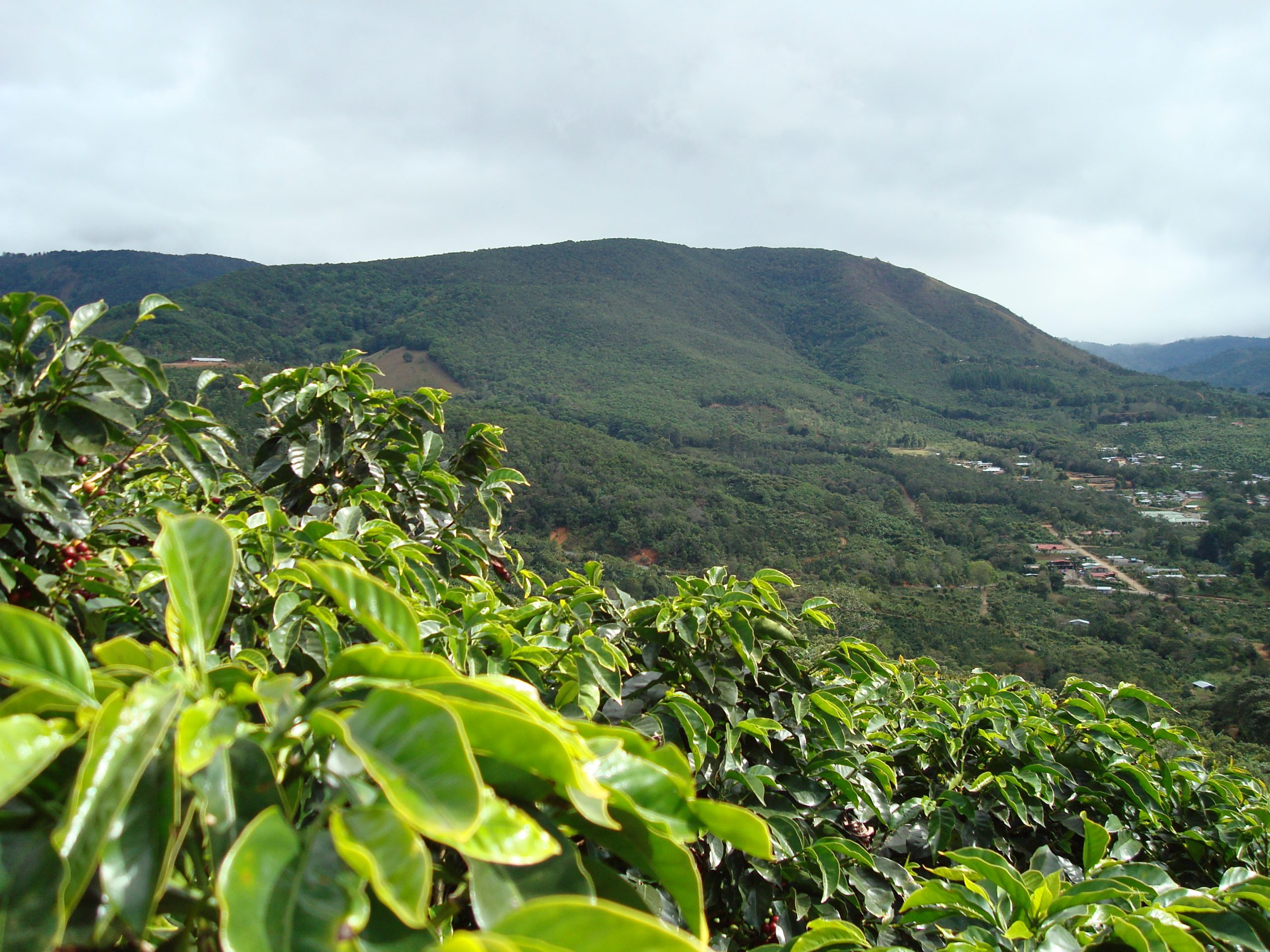 costaRicaFarm